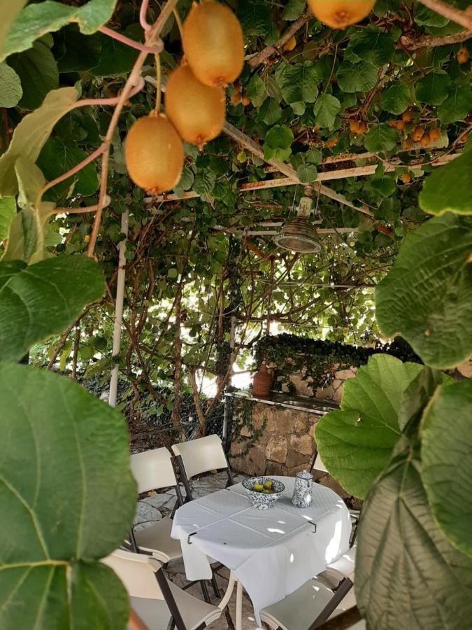 Holiday home Sailor's Rustic House Virpazar