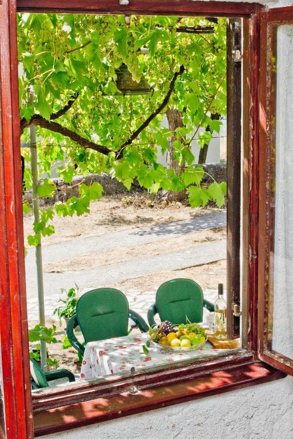 Sailor's Rustic House Holiday home Virpazar
