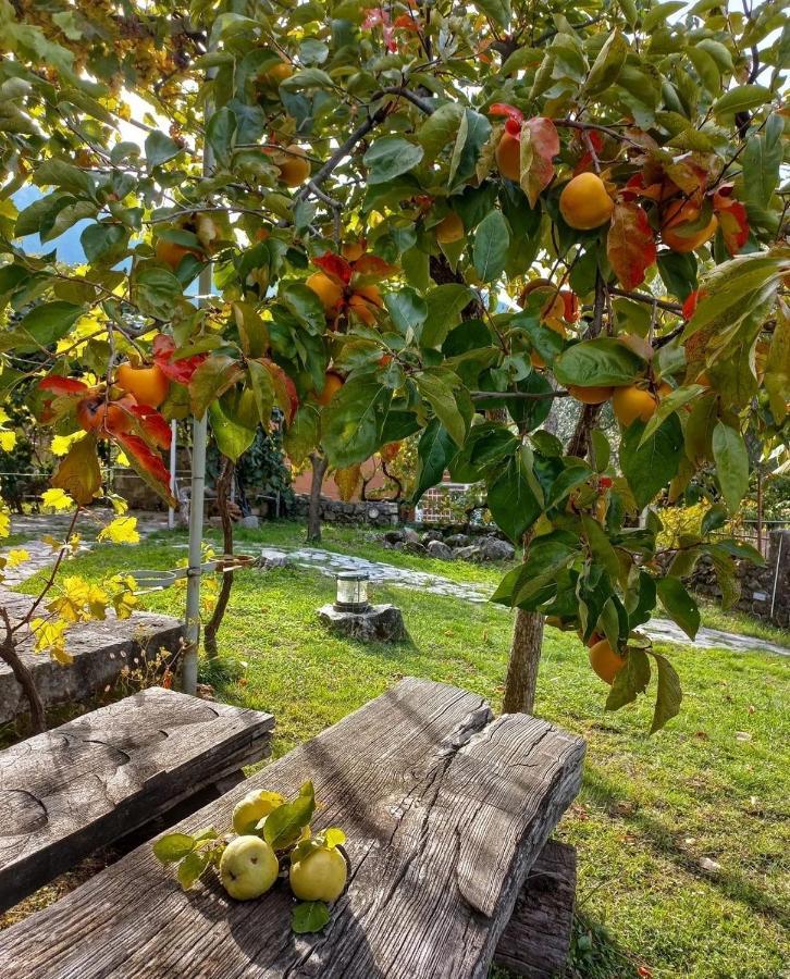 Holiday home Sailor's Rustic House Virpazar