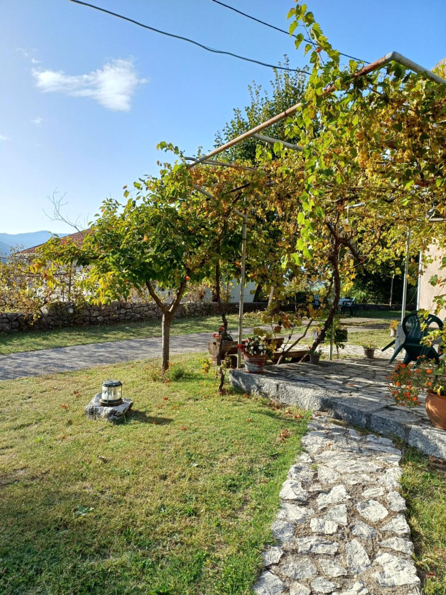 Sailor's Rustic House Holiday home Virpazar